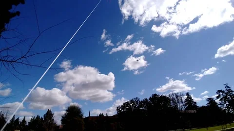 Point of View Flying Kites on a sunny day at the park 04 動画素材 149089511