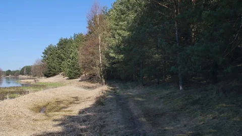 Point of view footage of walk in the forest. Sunny day in the woods. Video stock 106591652