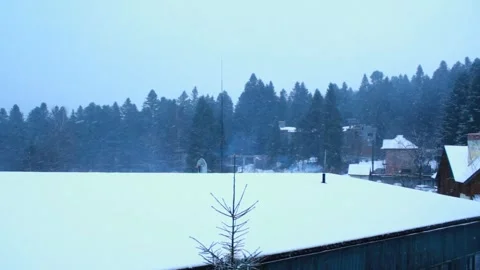 Point of view of the forest during a snowfall from the village. pine tree forest Stock Footage 326236755