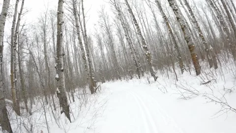 Point of view from front of vehicle while driving through a snowy town  Stock Footage 301107625