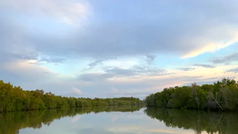 Point of view going down river Stock Footage 166331252