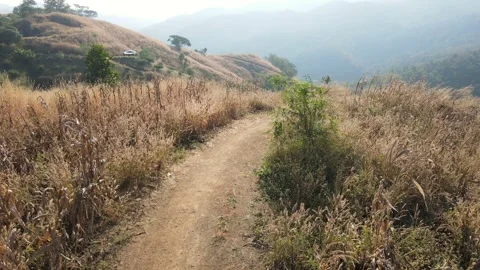 Point of view handheld shot of walking on rural path through grass field. Stock Footage 245071749
