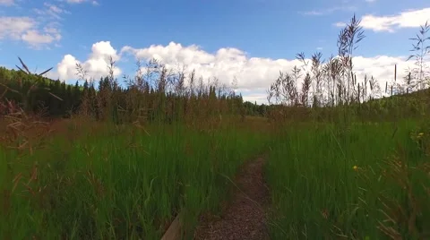 Point of view hiking in slow motion Stock Footage 52343454