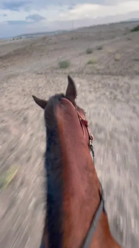Point of view horseriding in the sunset. Stock Footage 335171876