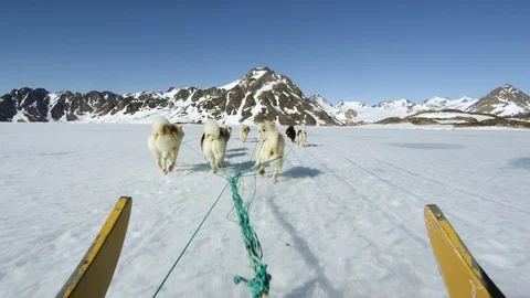 Point of view: huskies pulling you in a sledge across a snowy landscape Stock Footage 113269318