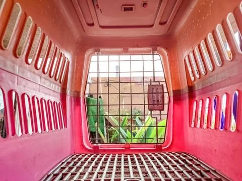 Point of view from inside the pet cage for dogs and cats Stock Photos