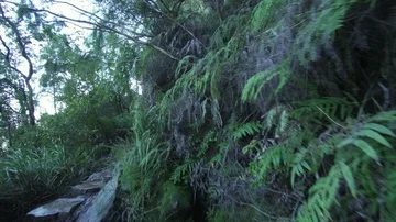 Point of view leisure exploration in Blue Mountain Sydney Stock Footage 85644499
