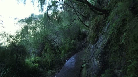 Point of view leisure exploration in Blue Mountain Sydney Stock Footage 85645282