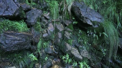 Point of view leisure exploration in Blue Mountain Sydney Stock Footage 85651547