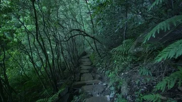 Point of view leisure exploration in Blue Mountain Sydney Stock Footage 85651652