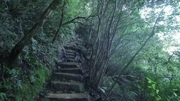 Point of view leisure exploration in Blue Mountain Sydney Stock Footage 85652100