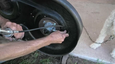 Point of View of Lubricating a Lawn Mower and a Dog Checks Out the Progress Vidéo 156198167