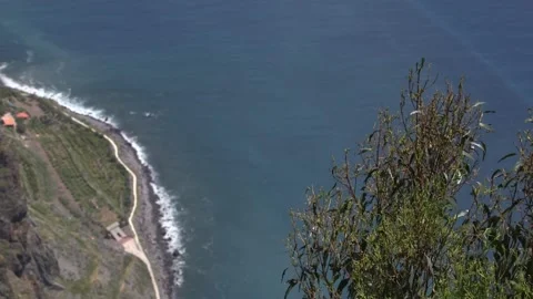 Point of view in Madeira Видео 142128994