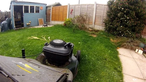 Point of view of maintaining the garden Stock Footage 96018125