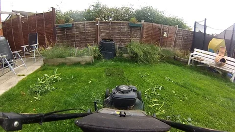 Point of view of maintaining the garden Stock Footage 96018753