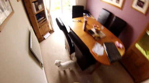 Point of view of maintaining the garden Stock Footage 96019134