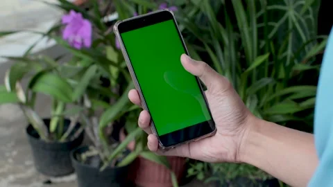 Point of View of Man at garden Using Phone With Green Mock-up Screen Stock Footage 232666451