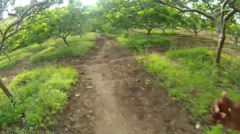 Point of view of a Man Running. Stock-Footage 55439006