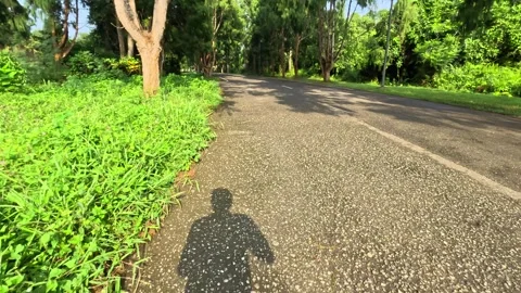 Point of view of man shadow running or jogging with green trees on asphalt .. Stock Footage 313717599