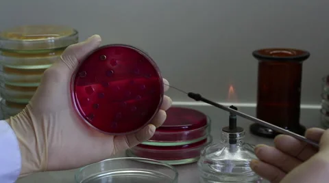 Point of view of microbiologist close up Stock Footage 58738489