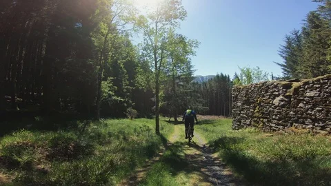 Point of view mountain bike Video stock 95522939