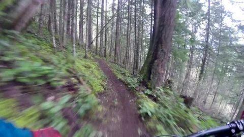 Point Of View Of Mountain Biking Through Lush Green Forest Next To A Cliff Stock Footage 78077218
