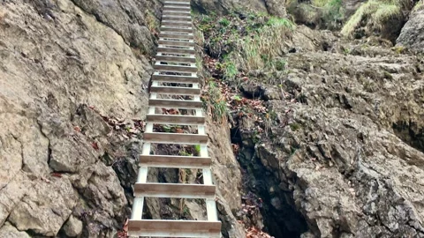 Point of view moving backwards and descending a long metal and wooden ladder on Stock Footage 334566705