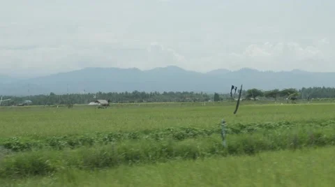 Point of view from moving car on Bali's green rice plantations landscape Stock Footage 68030195