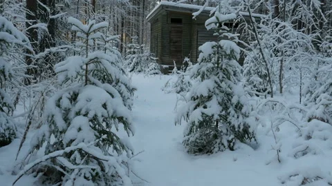 Point of view. Moving through snowy forest on sunset. Beautiful Winter Forest Stock-Footage 102043123