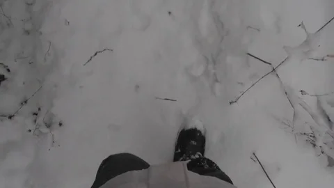 Point of view. Nature Landscape. Man Walking In the Winter Snowy Forest. 스톡 동영상 84655210