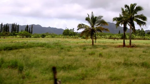 Point Of View Panning Beautiful View Of Green Island Landscape Against Cloudy Stock Footage 206324724