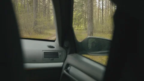 Point of view of passenger in the car on the backseat. Driving in forest Stock Footage 129605045