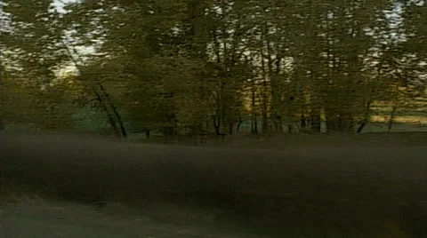 Point of view from passenger train window. Meadow scene of cows in pasture 스톡 동영상 29806834