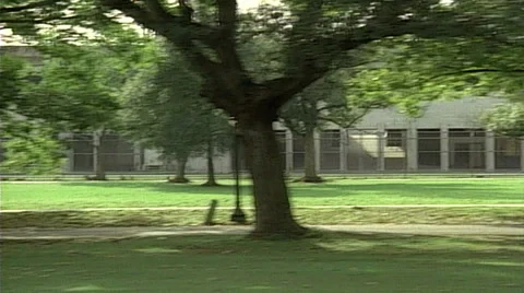 Point of view from passenger train window of Bicycle riders in park Stock-Footage 29806936