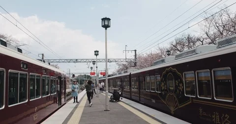 POINT OF VIEW: People enjoy cherry blossoms bloom and take photos and selfies at Vídeo Stock 106474799