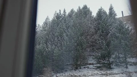 Point of view of person looking outside pulling curtain to reveal snow on trees Stock Footage 319065849