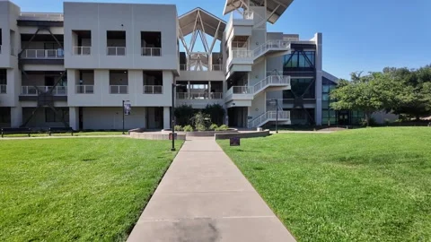Point-of-view perspective moving along a concrete walkway through a green lawn Stock Footage 335459988