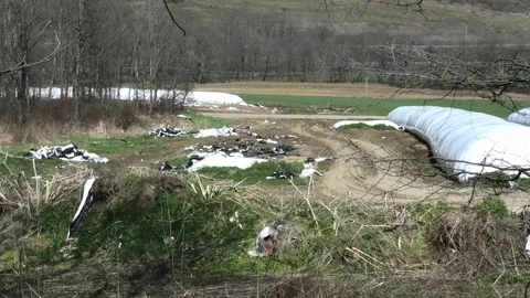 Point of View of Plastic Trash in a Field 스톡 동영상 187261537