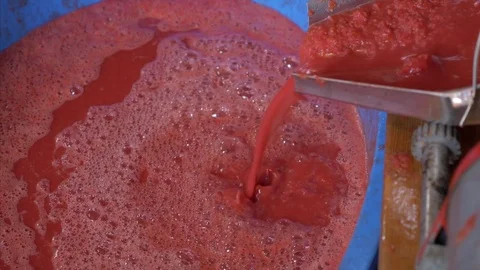 Point of view of preparing fresh tomato juice - close up Stock Footage 78137086