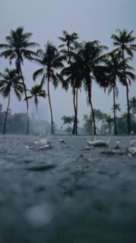 Point of view of raindrops Video stock 274644365