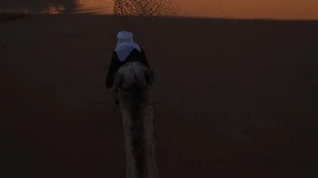 Point of View of a ride of camel in sand dunes in the desert Stock Footage 85617710