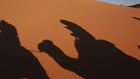 Point of View of a ride of camel in sand dunes in the desert Stock Footage 85619274