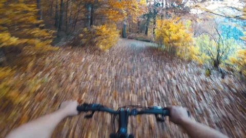 Point of view riding a bicycle Stock Footage 85534413