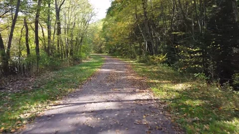 A Point of View of Riding a Bicycle on the Great Allegheny Passage Vidéo 291867016