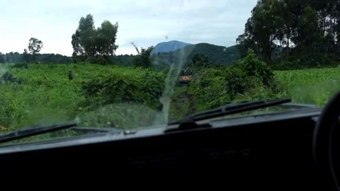 Point of view of a rugged terrain vehicle ride through thick lush Congolese jung Stock-Footage 73787966
