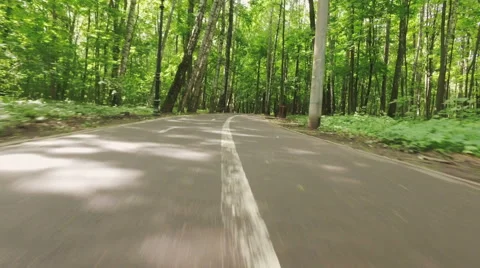 Point of view running jogging outdoors in a forest nature on a asphalt road Stock Footage 63990339