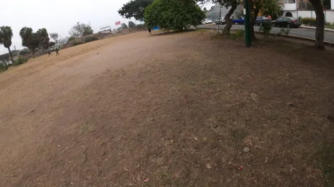 Point of view running in a park with dry grass Stock Footage 141079184