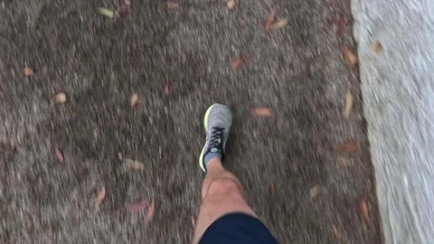 Point of view, running in a trail in a park Stock Footage 339080282
