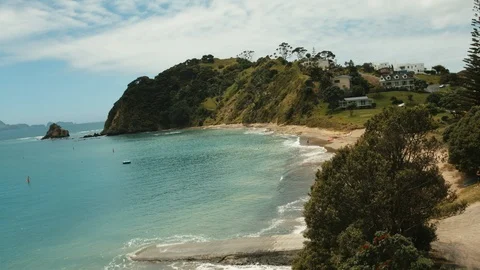 Point of view seagull landing on beach in New Zealand Stock Footage 90269113