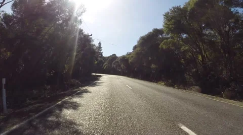 Point of View shot driving along a road through a New Zealand forest. Stock Footage 41244574